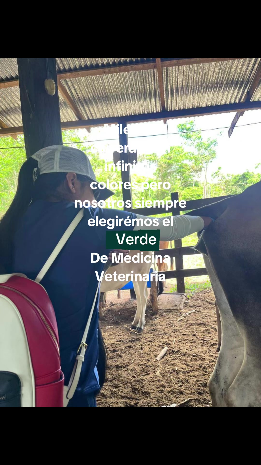@Vet Med 2 año