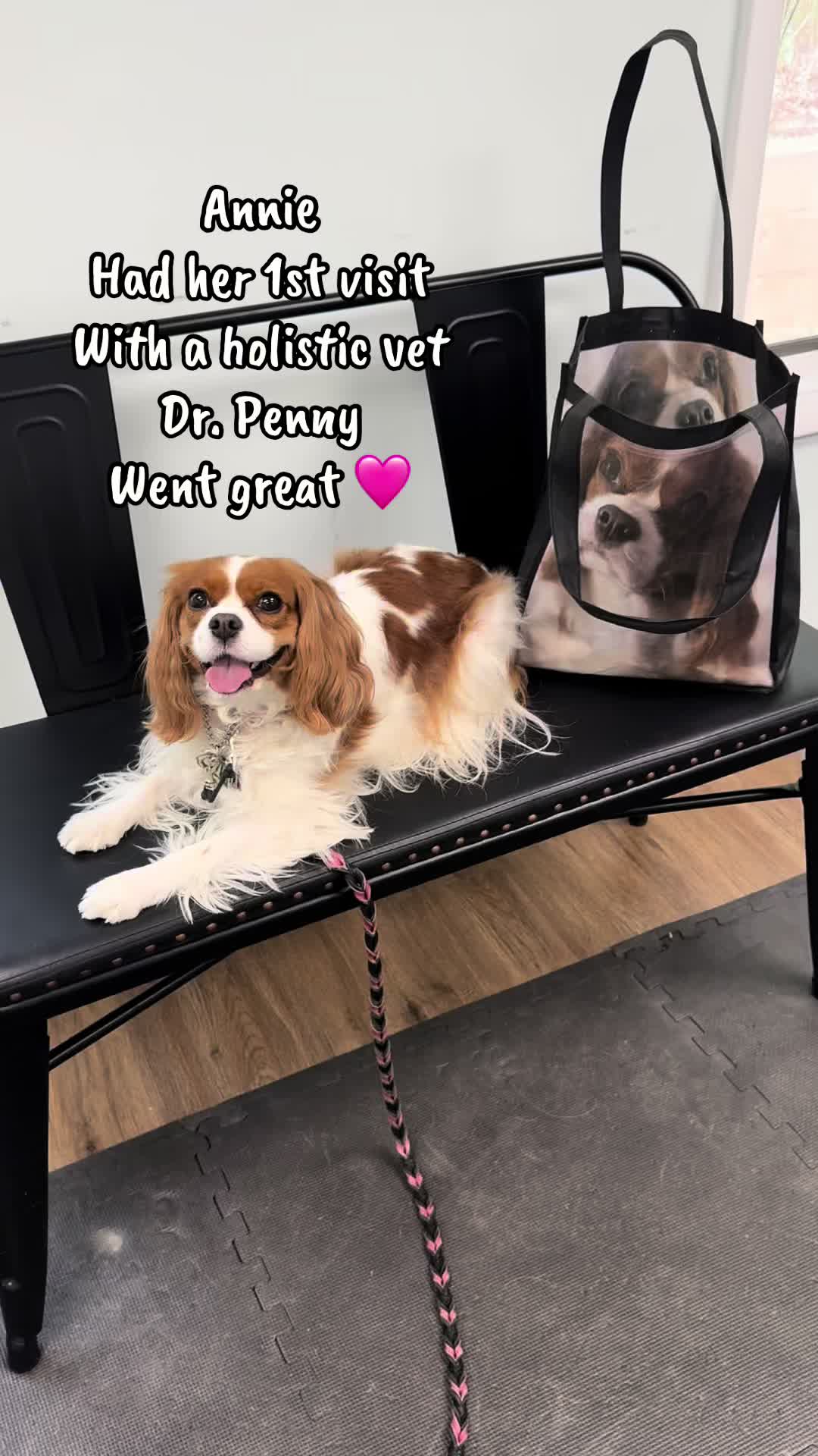 @annie_rae_the_cavalier