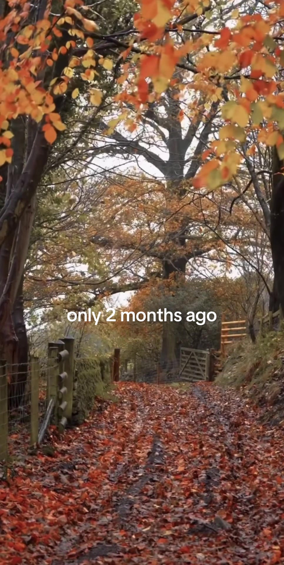 @Cozyyseasons