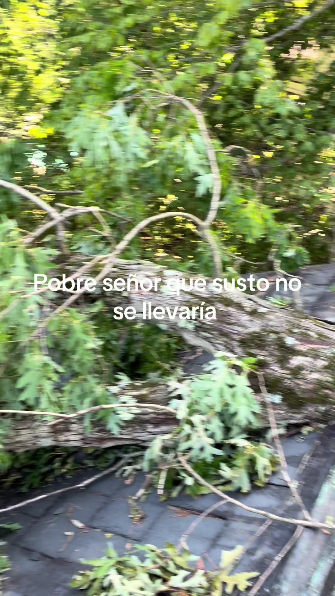 @Xavi Flores