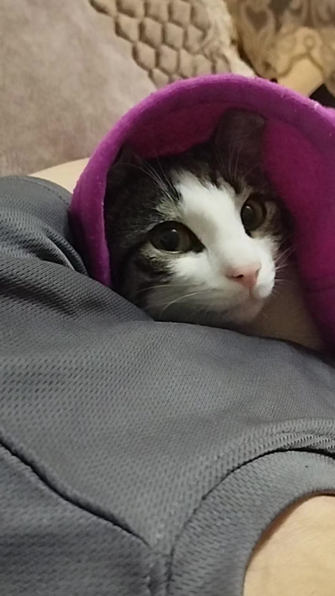 @🐾