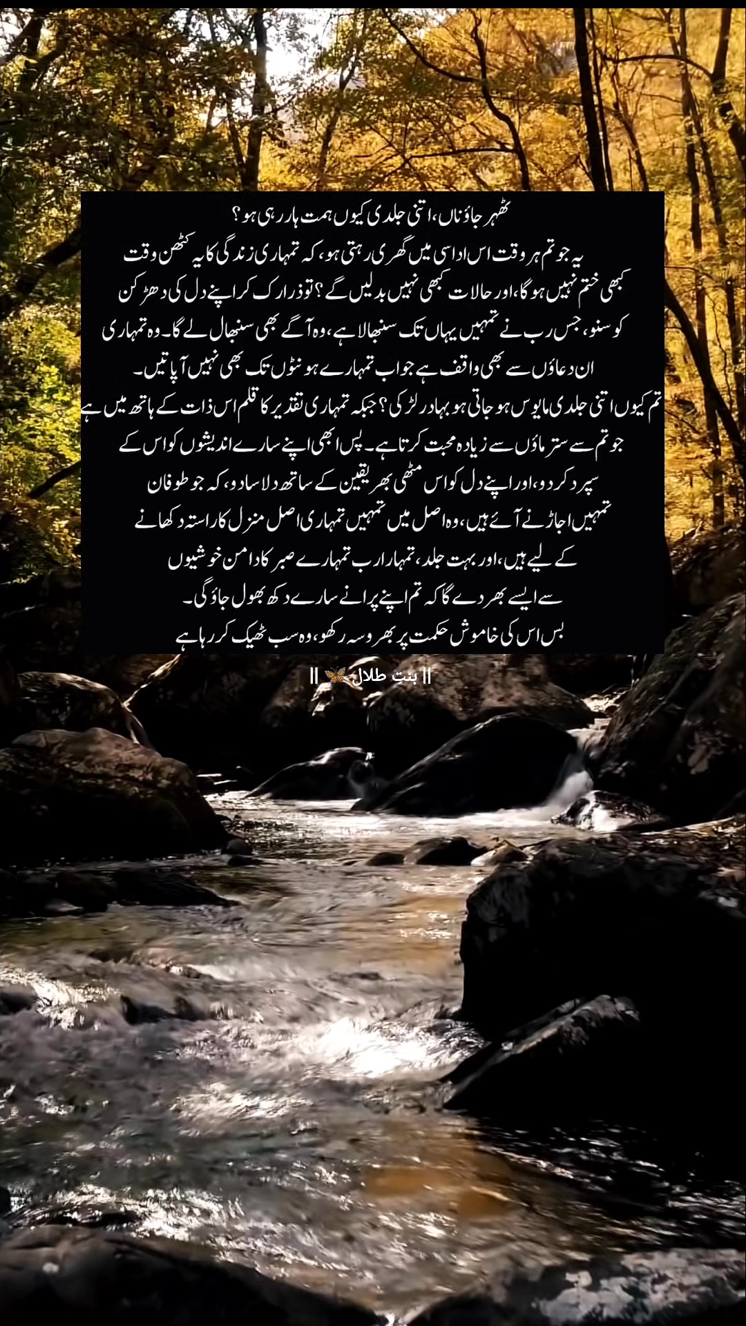 @🦋 بنتِ طلال