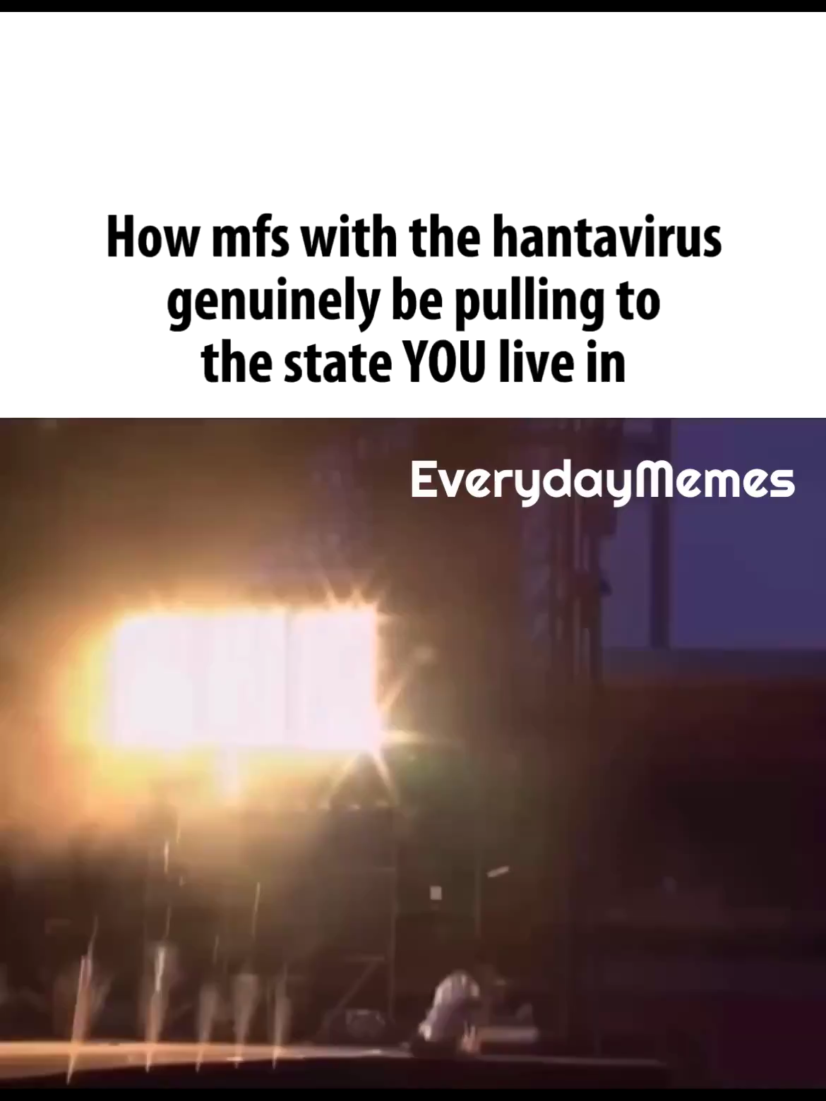 @EverydayMemes