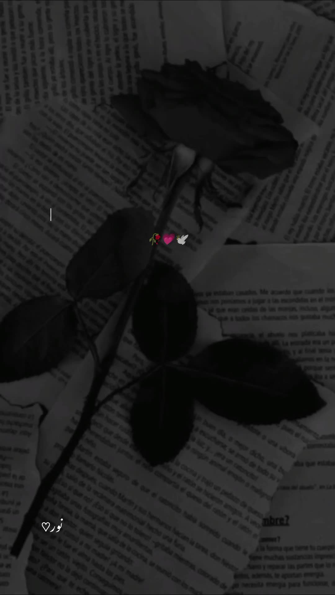 @&hearts;︎𝑏𝑜𝑜𝑘𝑖𝑠ℎ𝑔𝑖𝑟𝑙&hearts;︎
