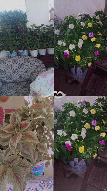 @𓆩𝑨𝑫𝑳𝑩𝑰𝑯💚Wآدلـــبية𓆪