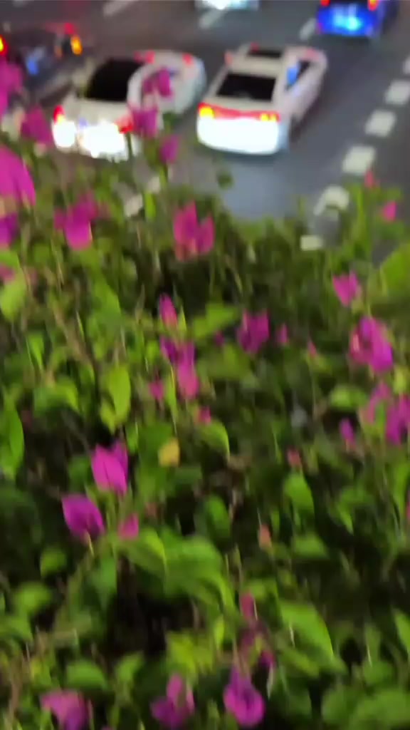 @ሀያት