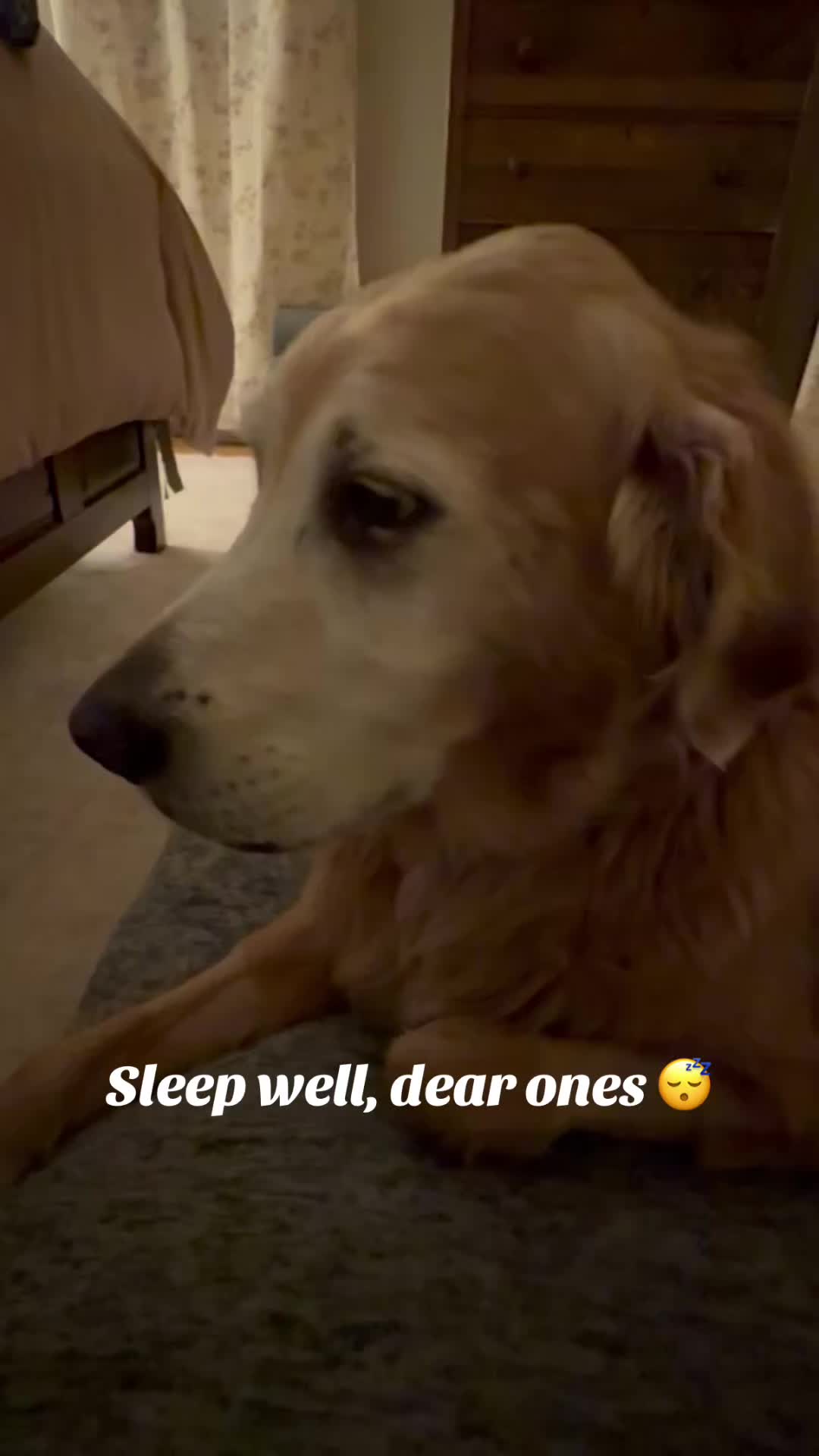 @lifewithduke2025