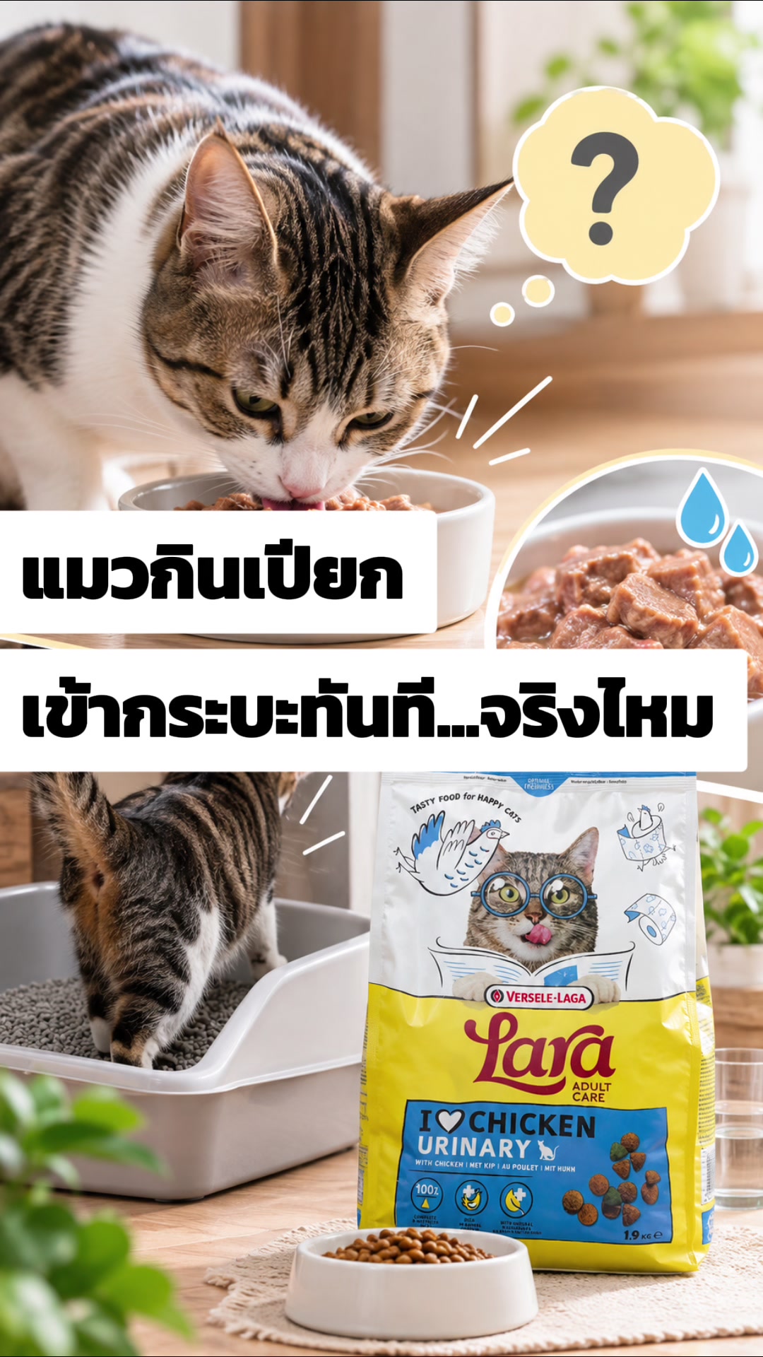 @WelovepetsbyPamornchaiSupply