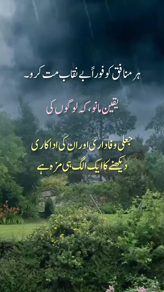 @Shumaila Akhtar
