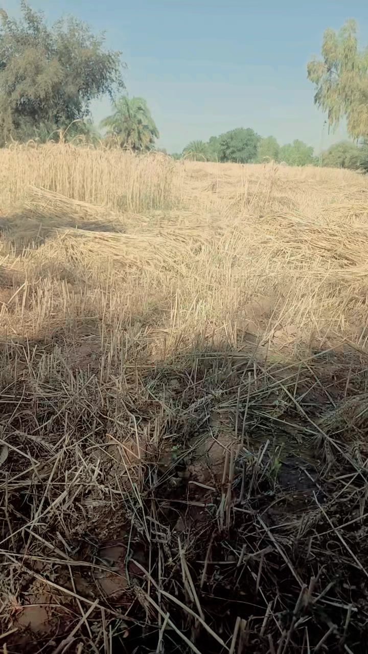 @JA khani