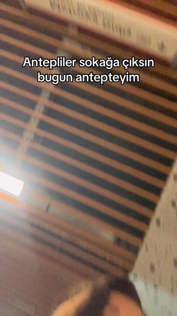 @zeynil malbora