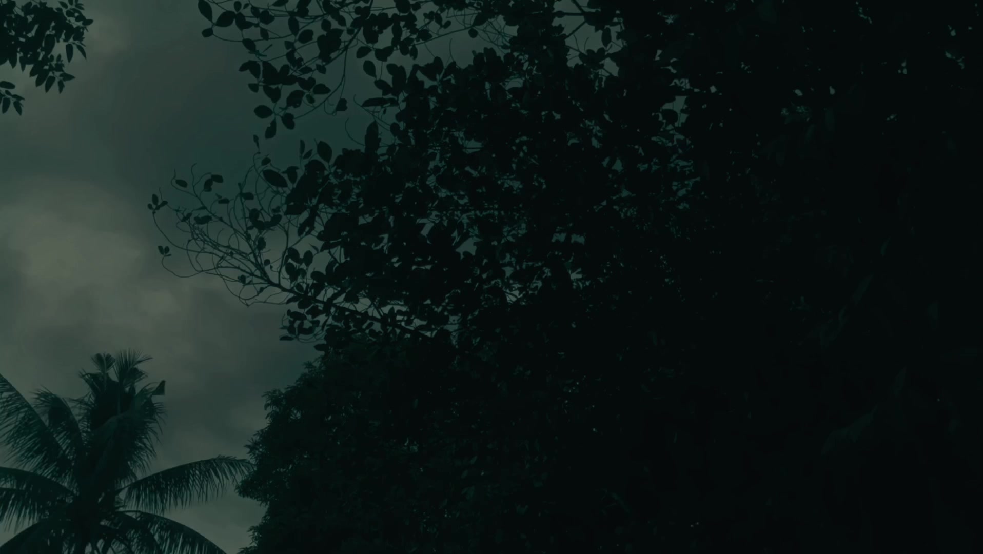 @•|ʟᴀᴅʏ ʏɪ