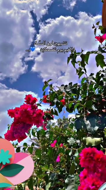 @NawaL1400