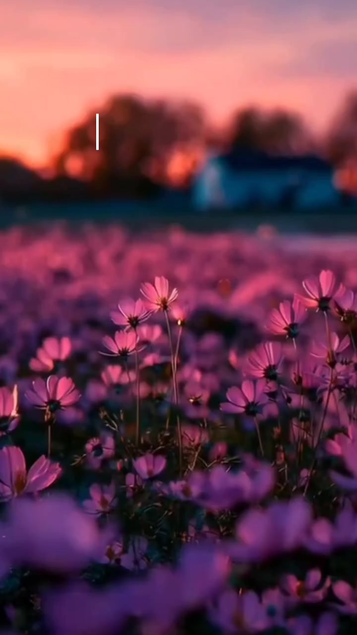 @🦋Lunita🔥_🇧🇴🇦🇷🎧