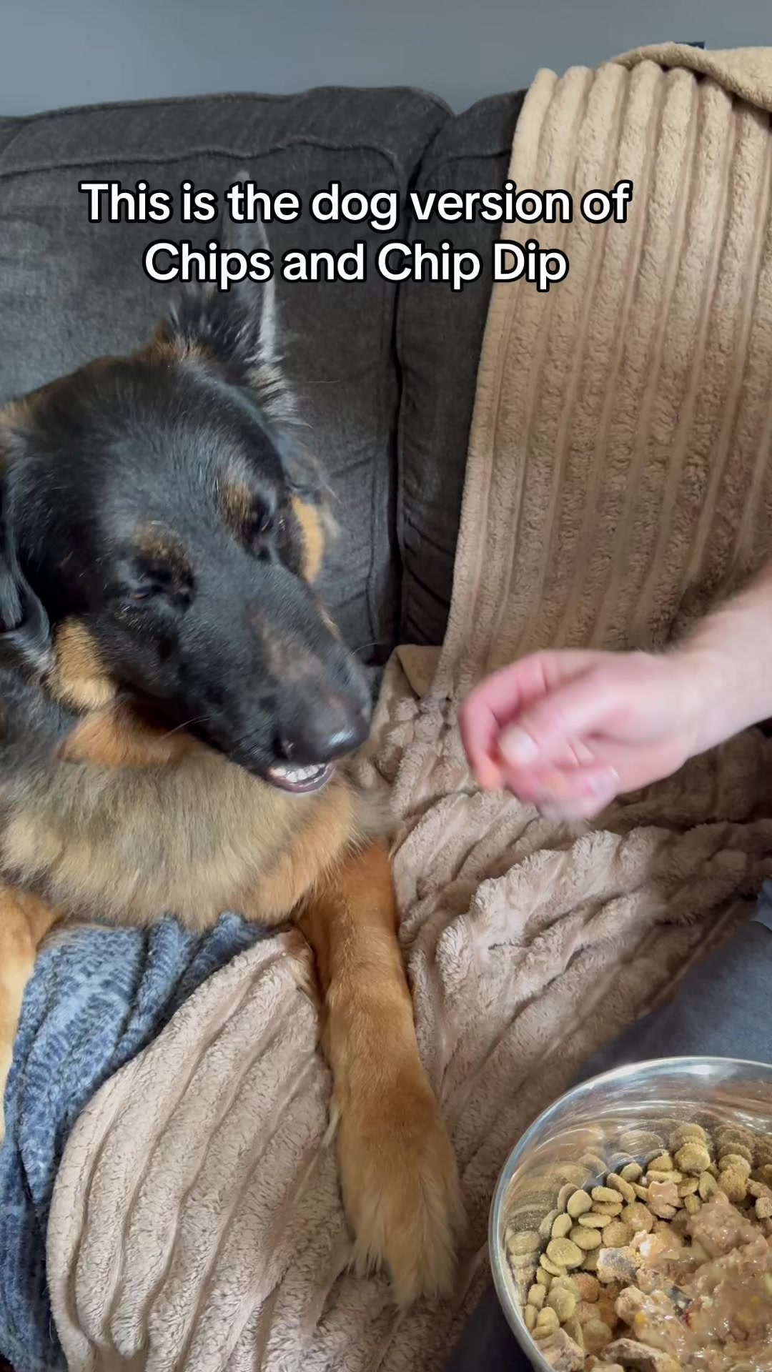 @ksdoggos