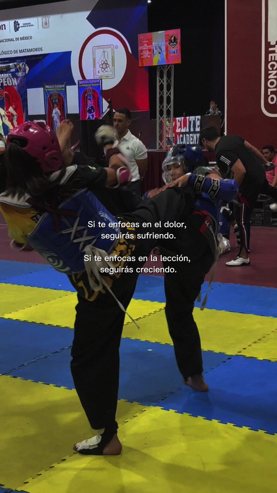 @taekwondolionsteam