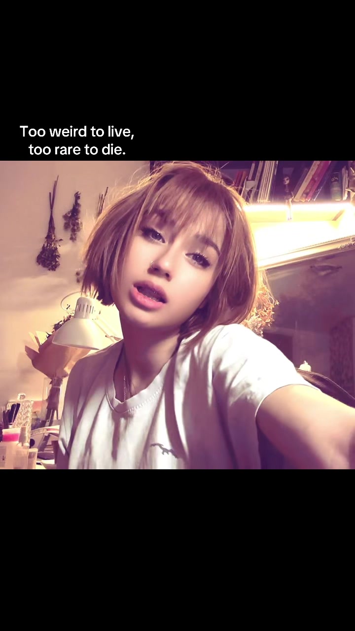 @Sofi 🪴🩰