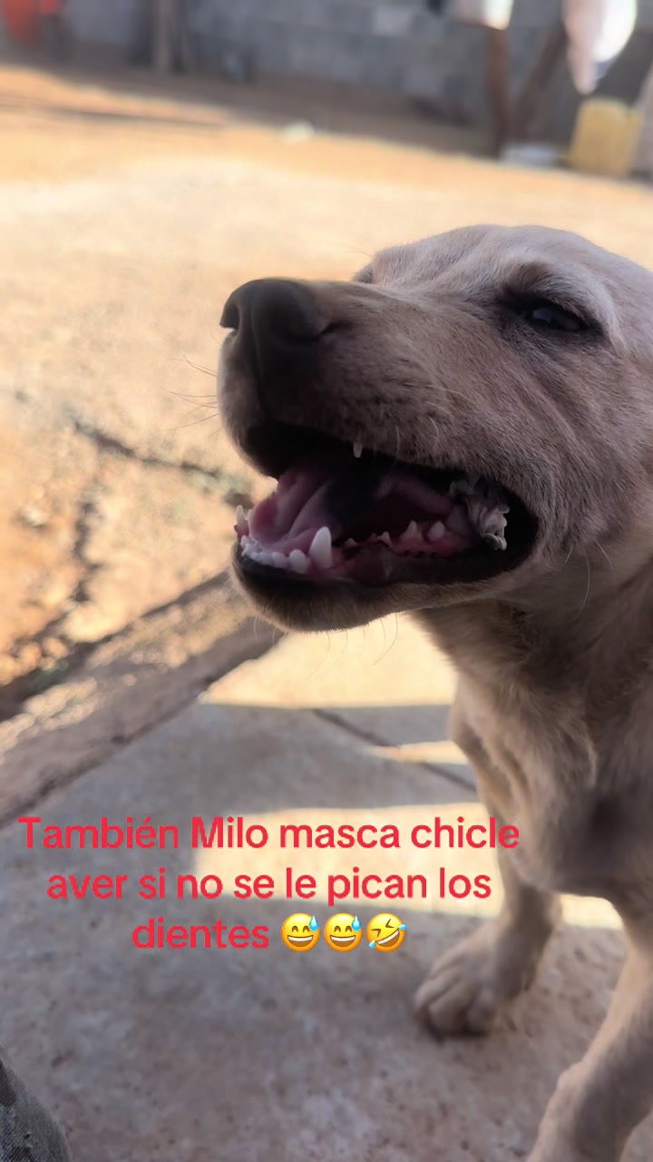 @Santoshrdzbalta