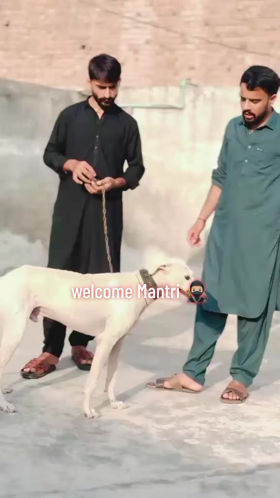 @༆☆جٹ(منڈی) آلہ☆