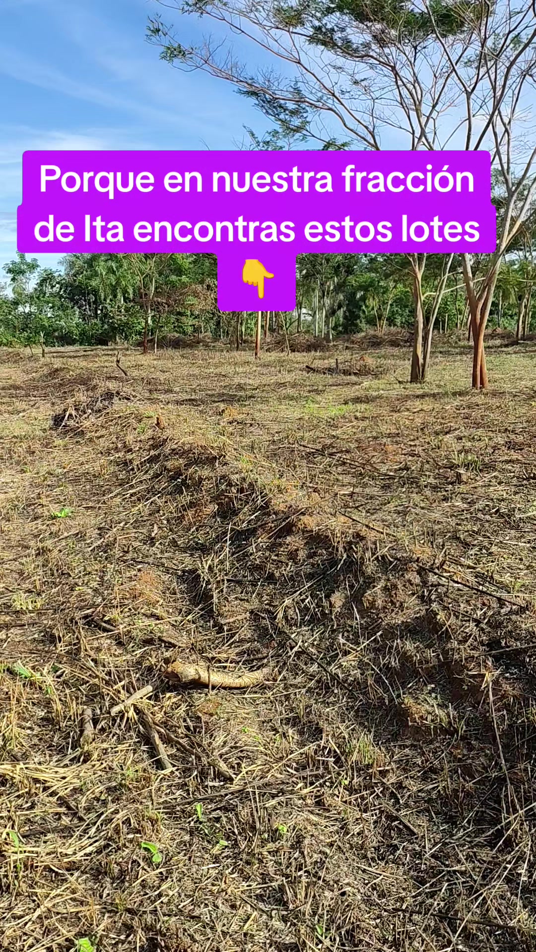 @Blanca Cardozo
