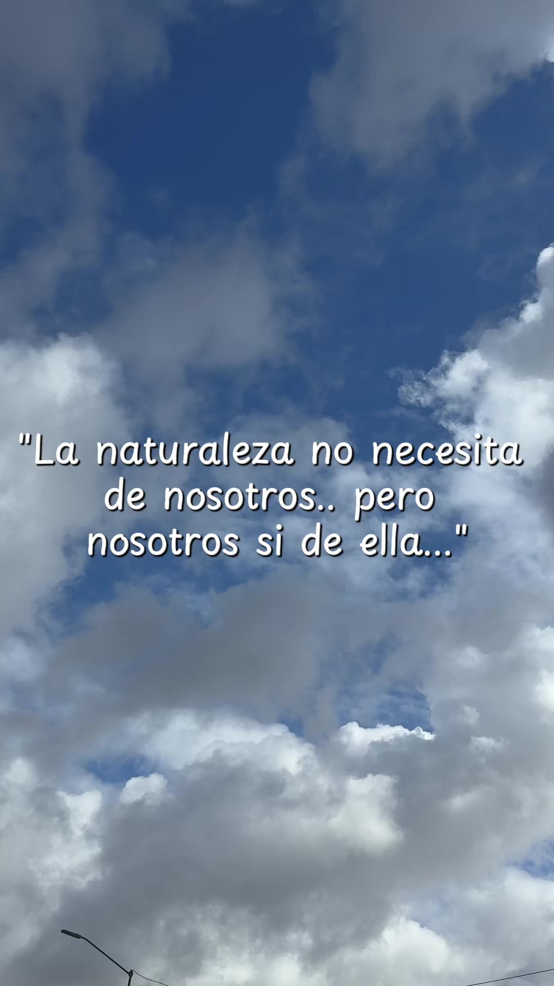 @Gigi Glez