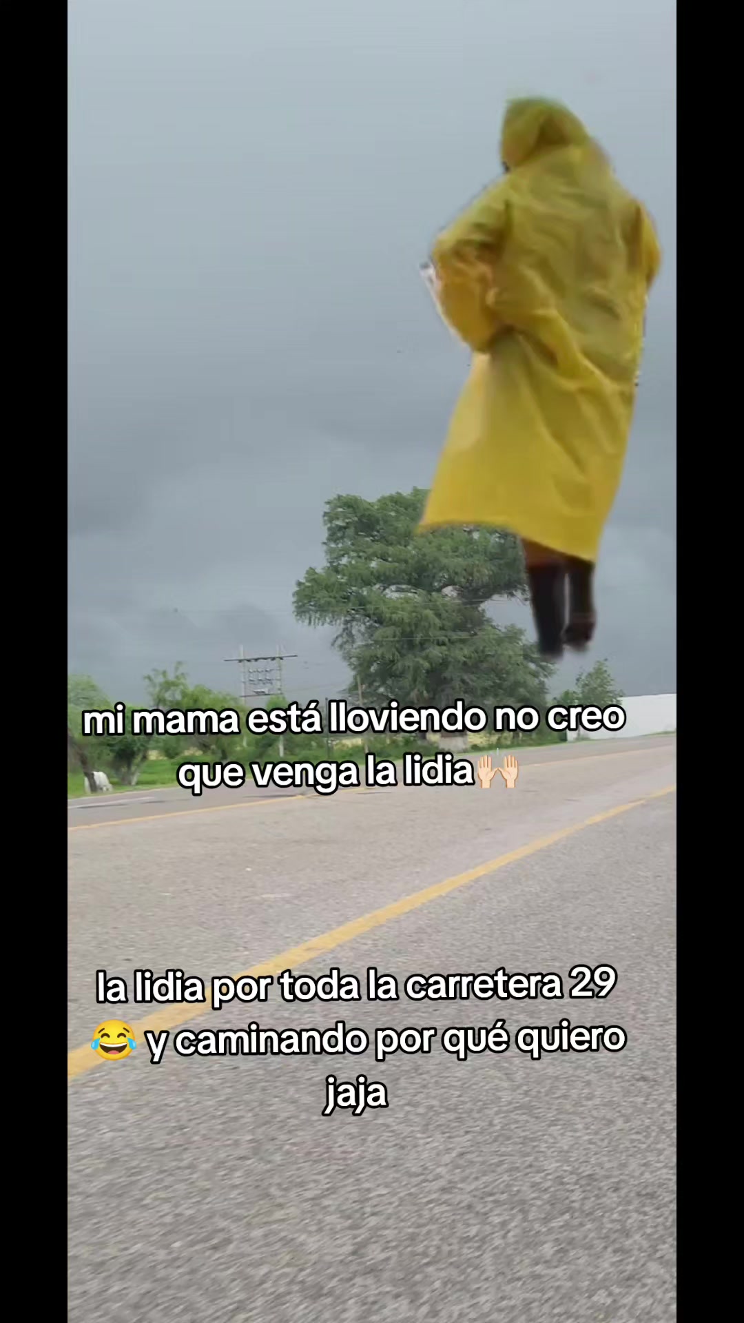 @Lidia Castillo