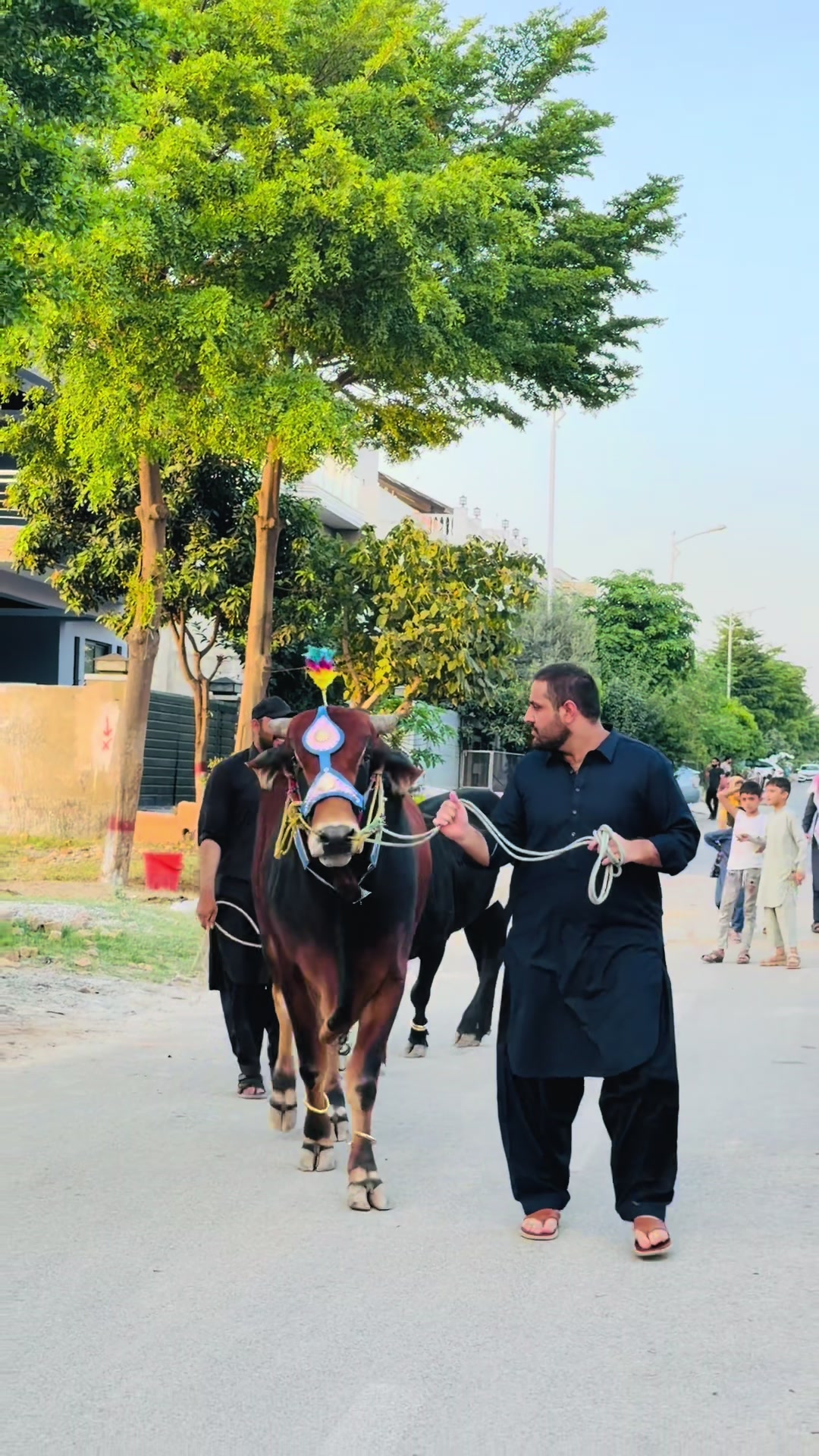 @Sattar Khan