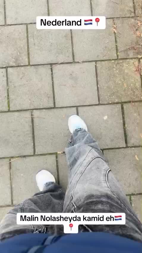 @daadir