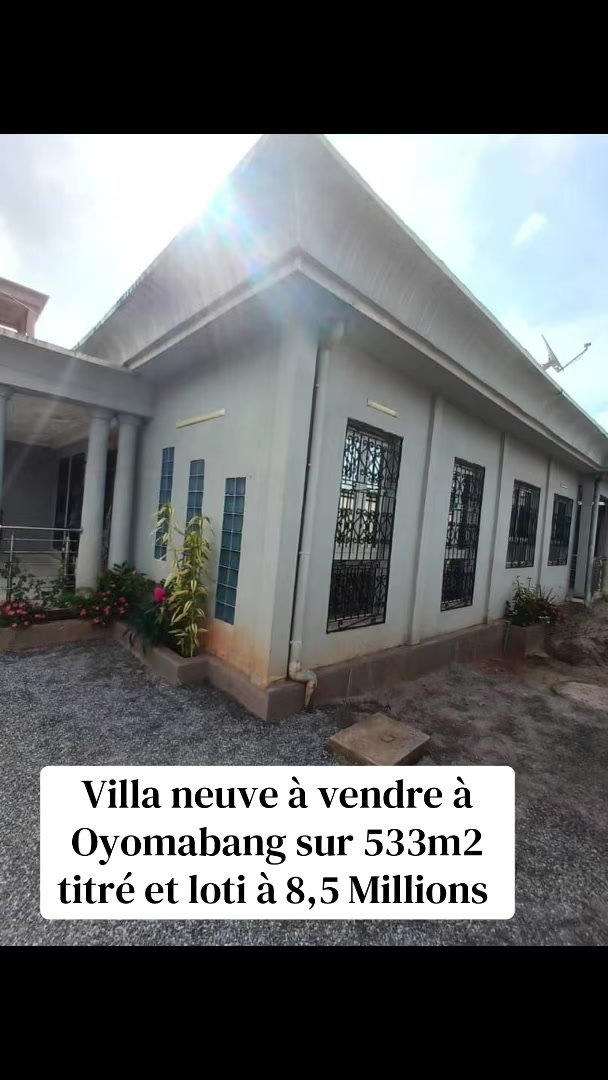 @DINO~IMMO~237🇨🇲🇨🇲