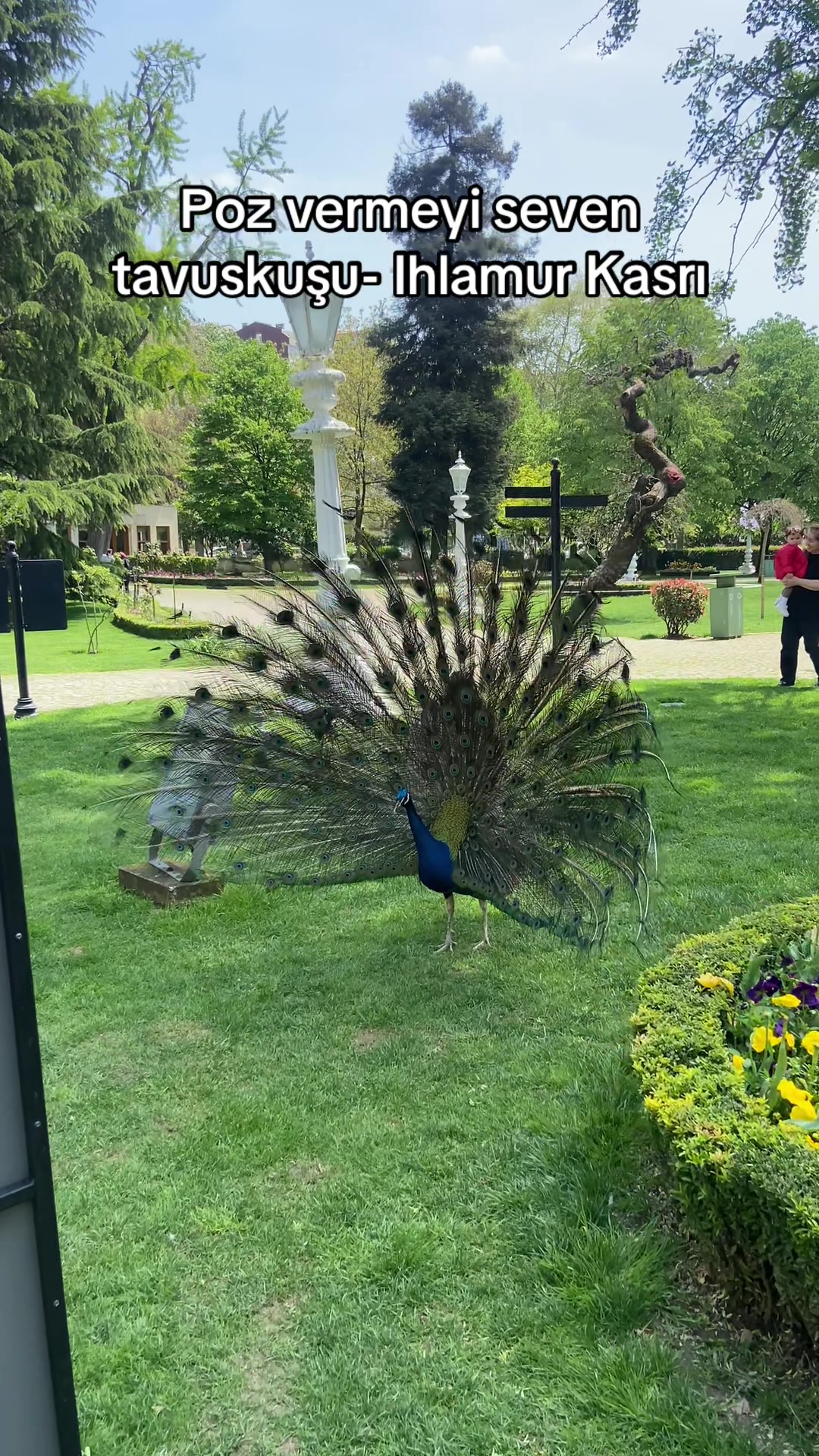 @Tatilcibaşı