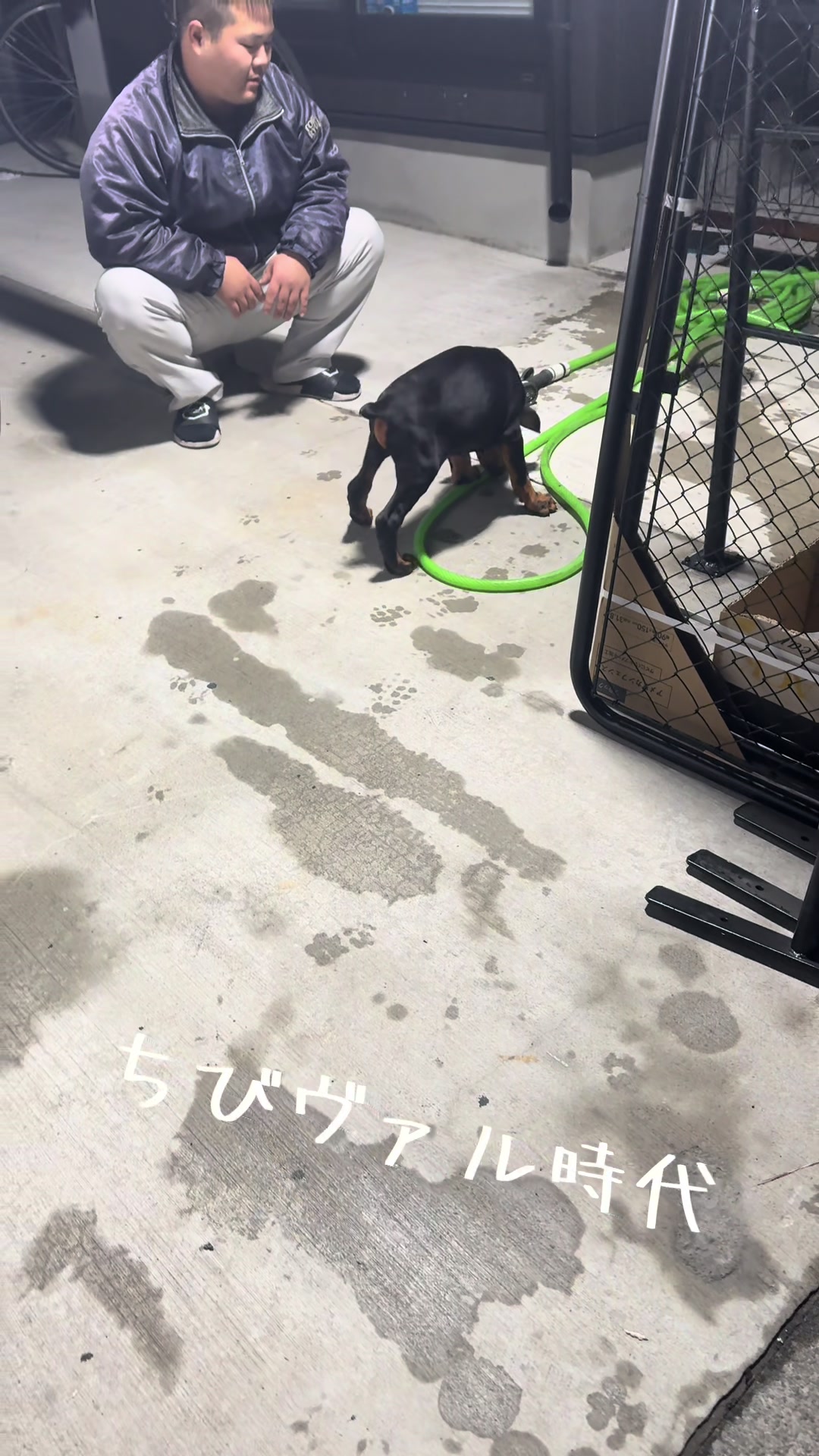 @シオン