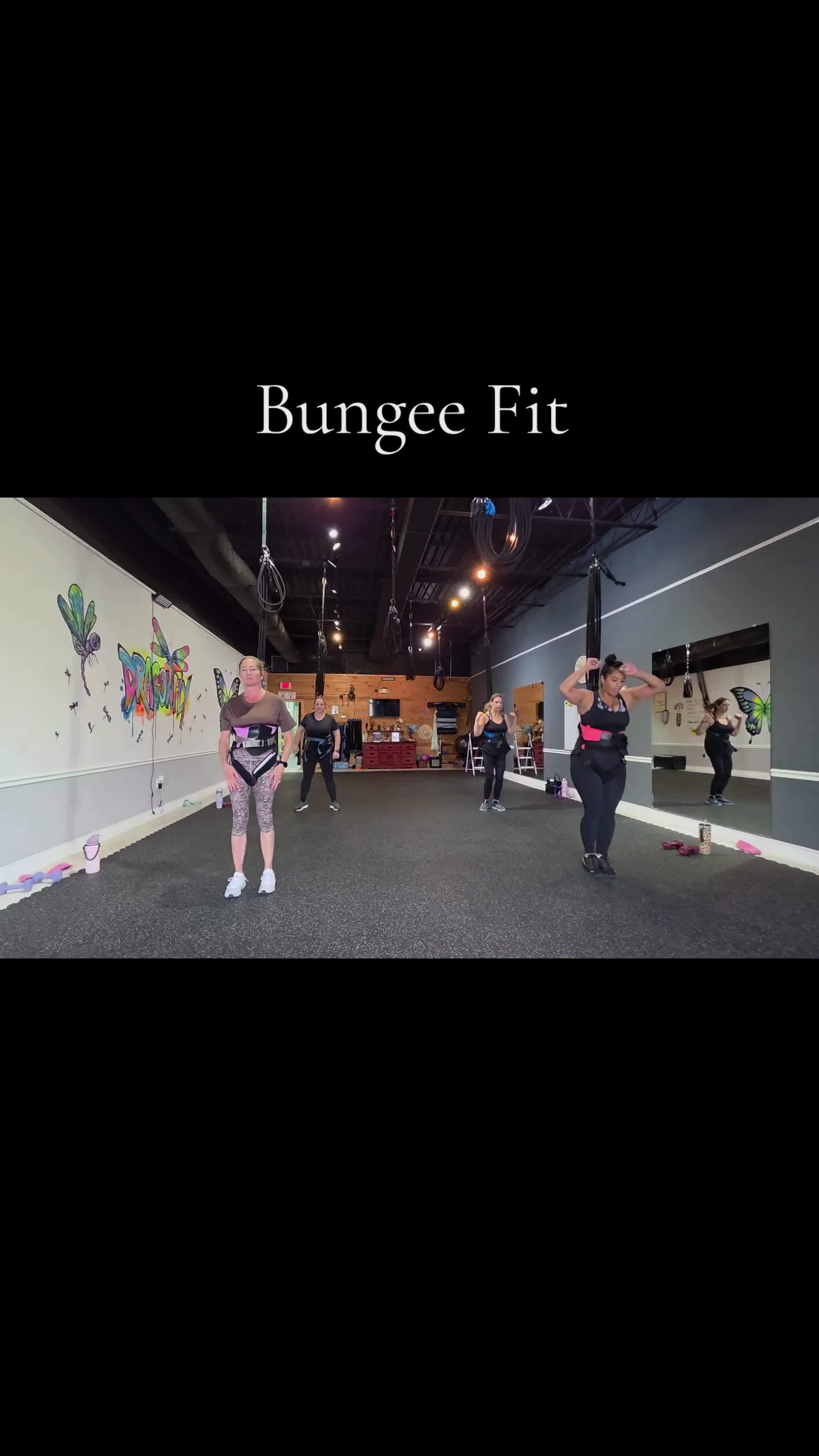 @Dragonfly Bungee