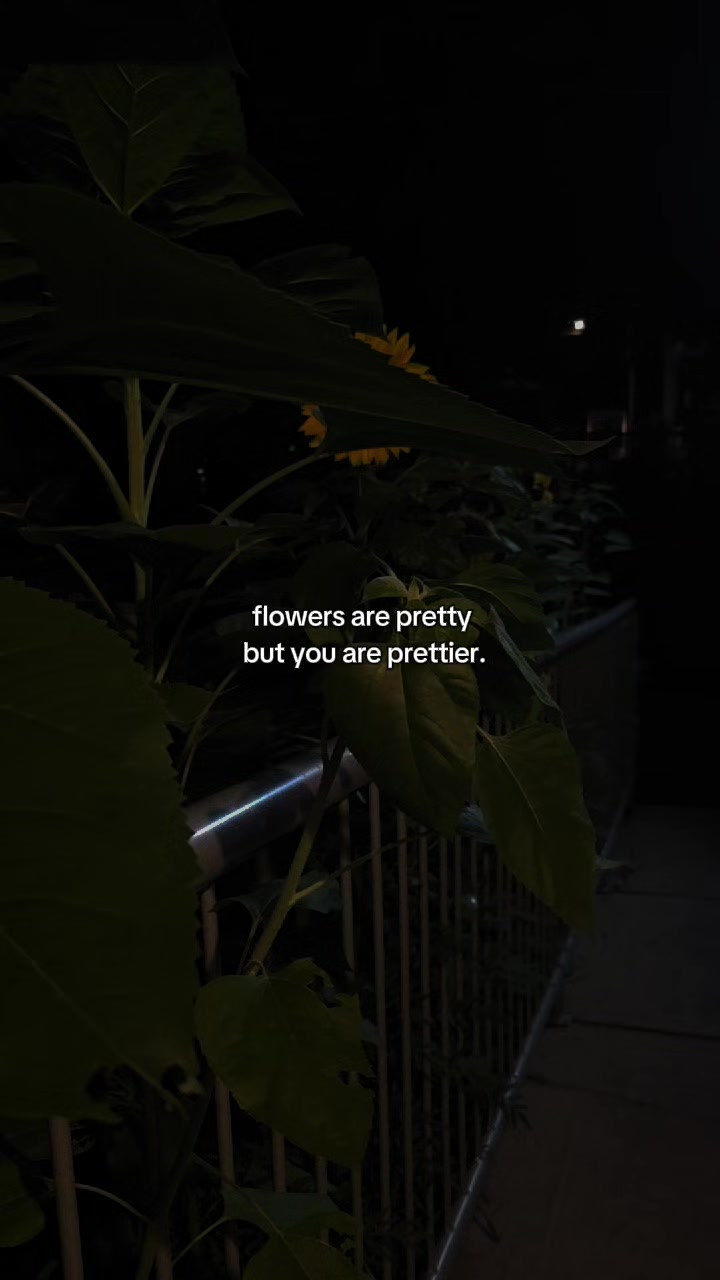 @Twinster