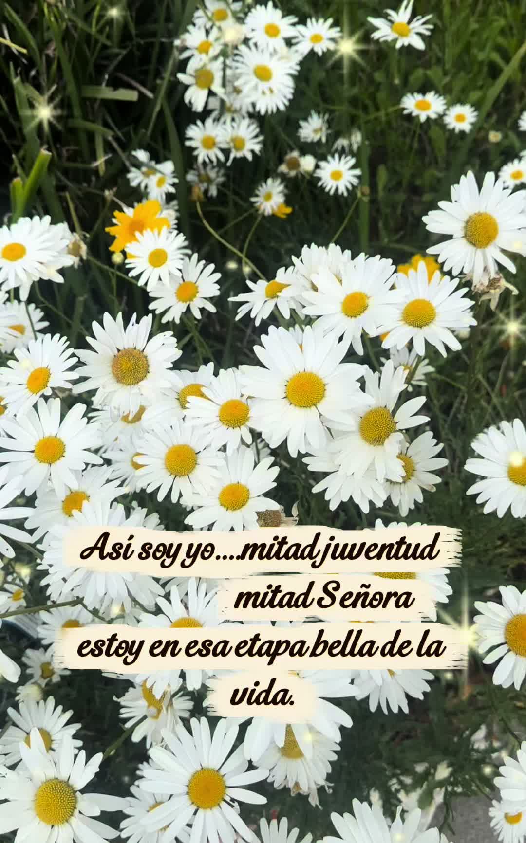 @Maria Canseco