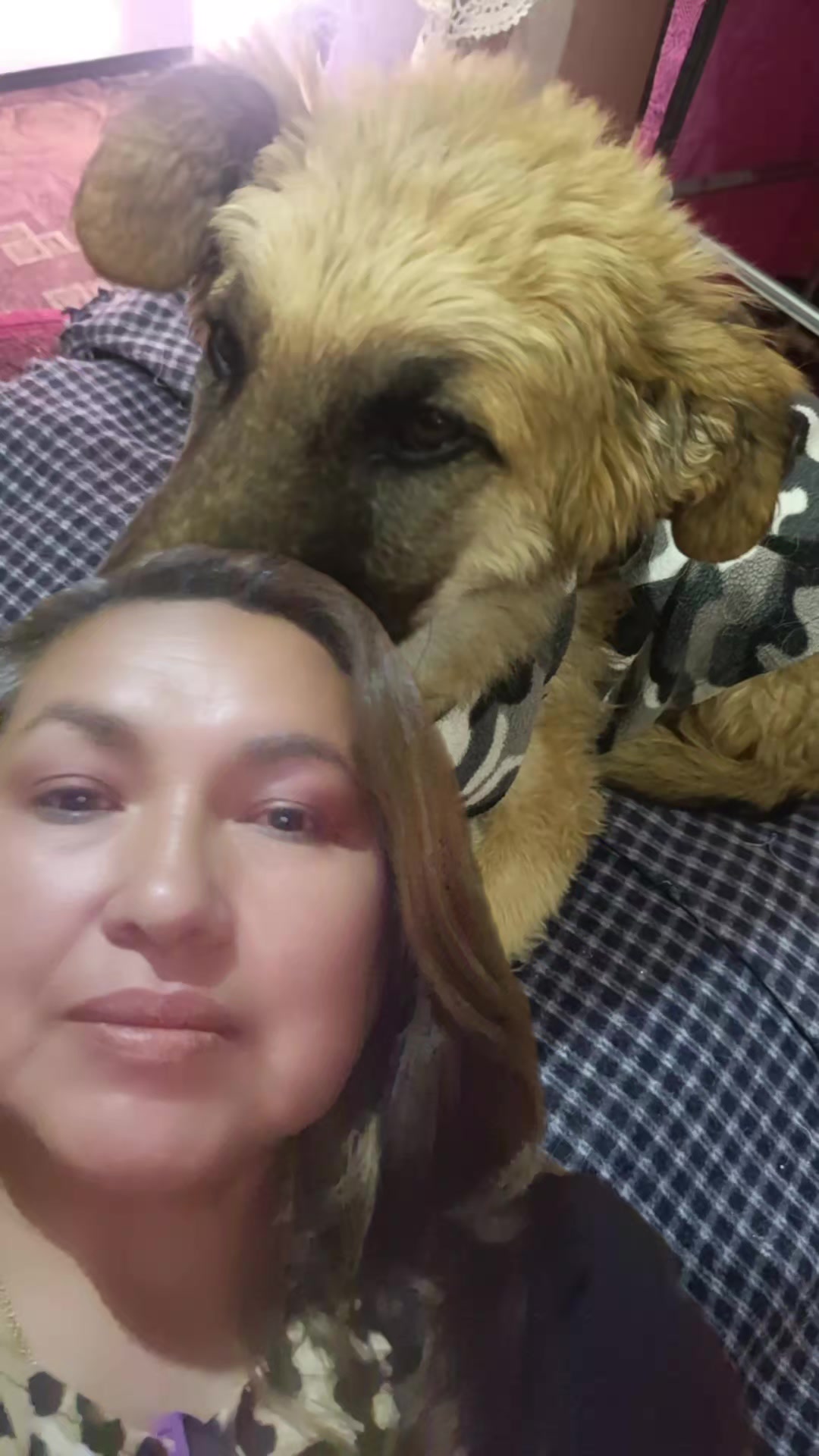 @Fundacion Huellitas
