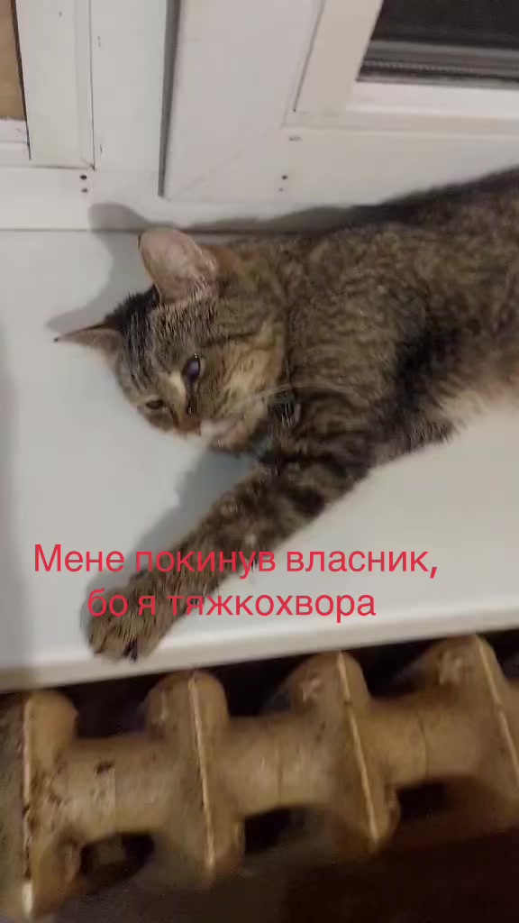 @Алиса