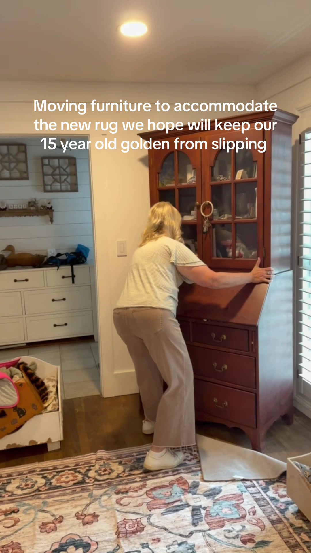 @DogMomisms