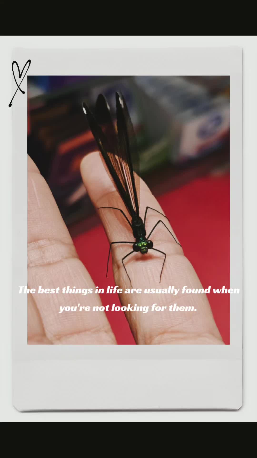 @𝓚𝓻𝓲𝓼𝓽𝓲𝓮-𝓐𝓷𝓷
