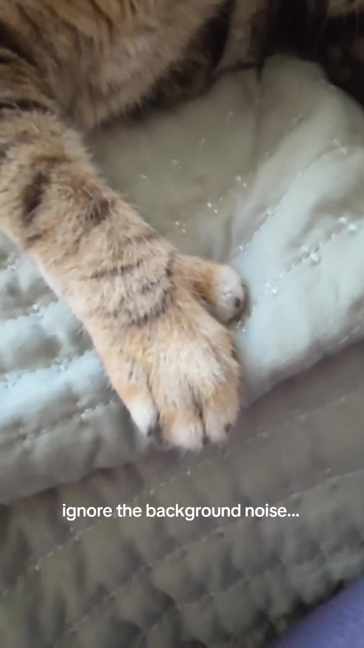 @wink_42