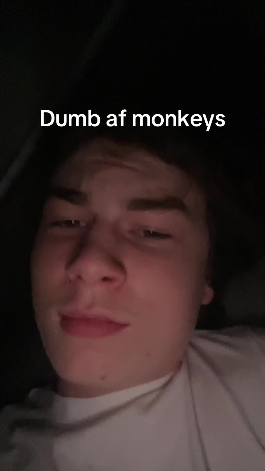 @Lachlan🥭🪻🫛🏴☠️🪢