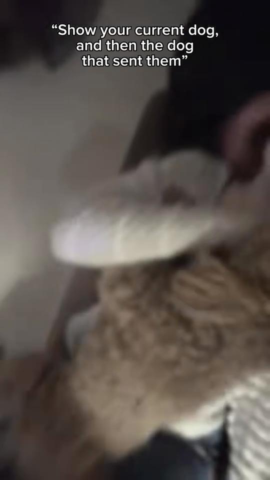 @maddie_jade0312