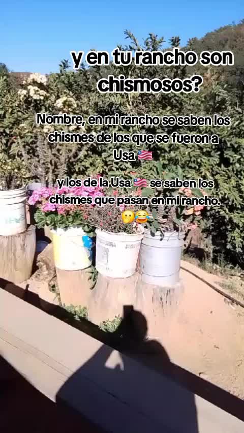 @👑🌈ALEJANDRA🌈👑