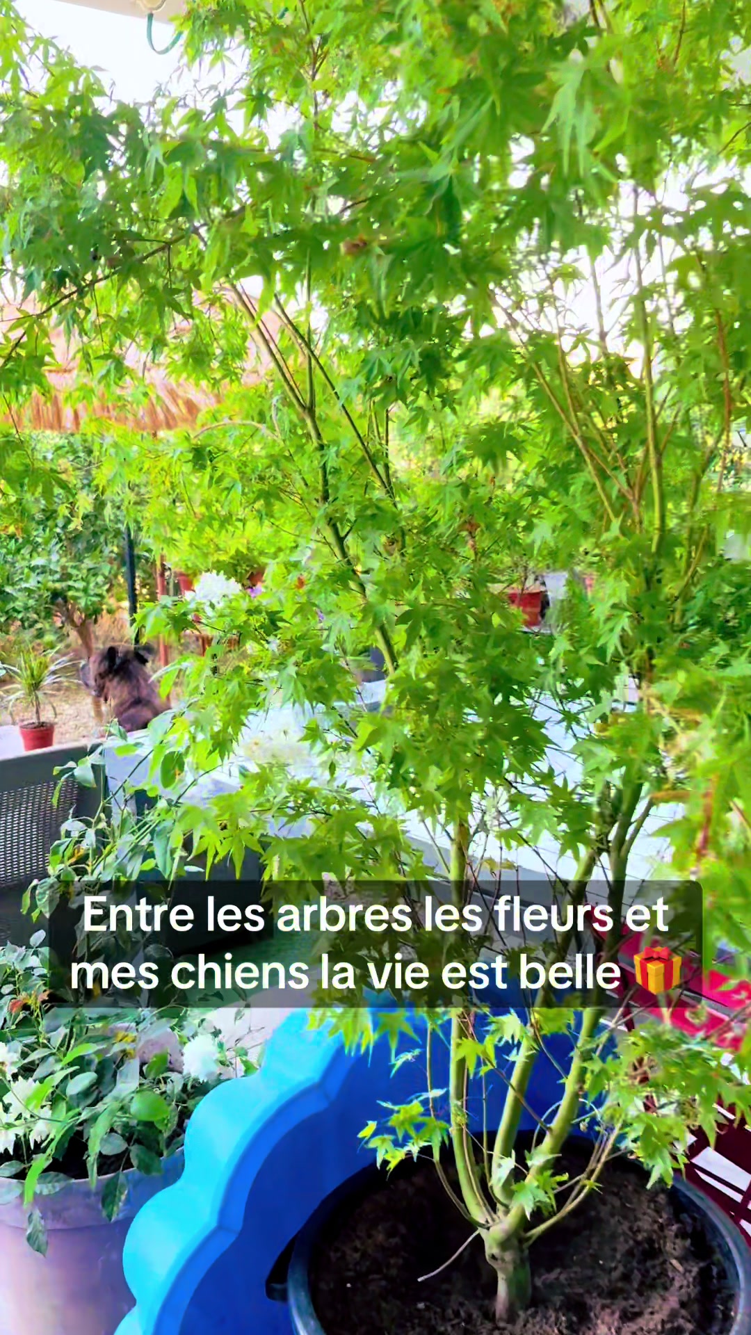 @Janick
