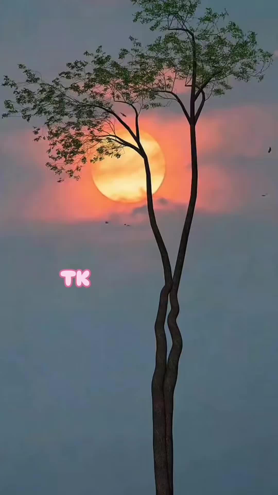 @❤️ TK ❤️