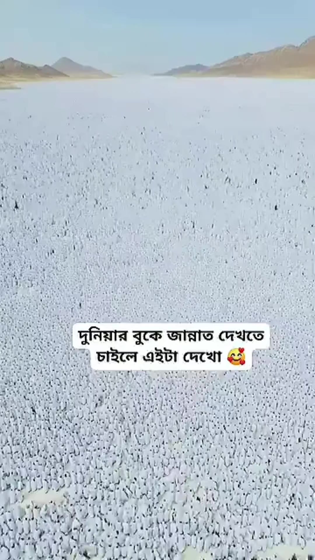 @Ms Neha Sheikh