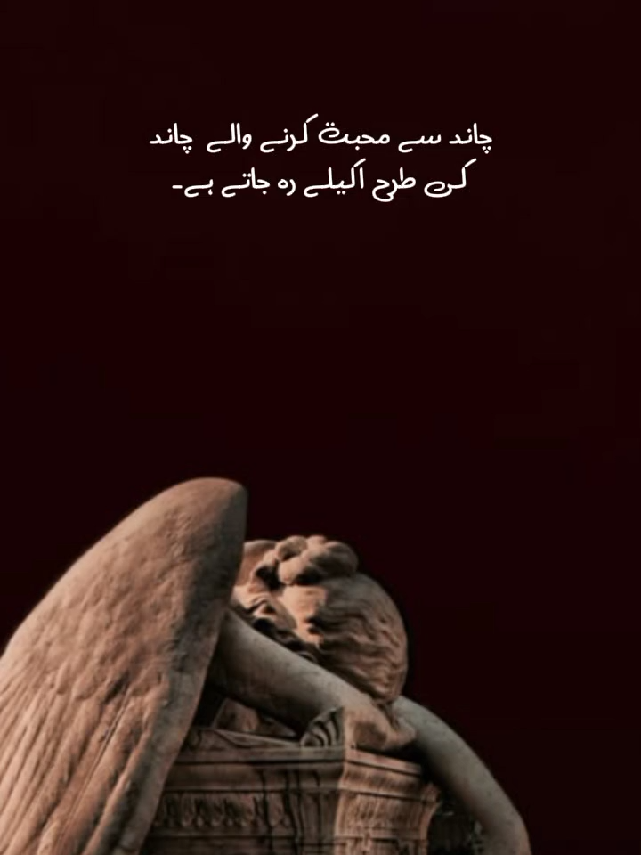@Tehreem Duaa