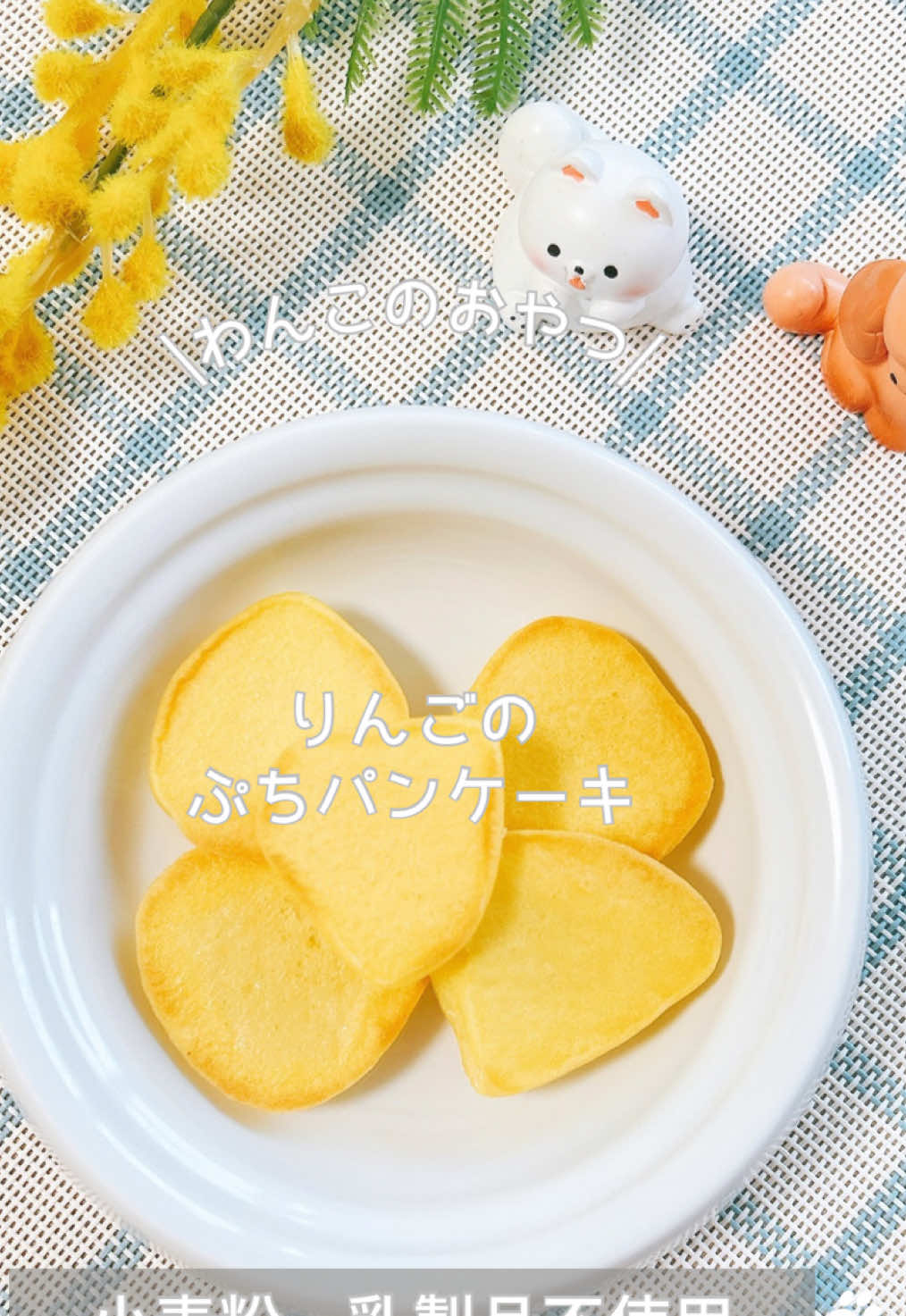 @ゆきえもん|手作り愛犬おやつ