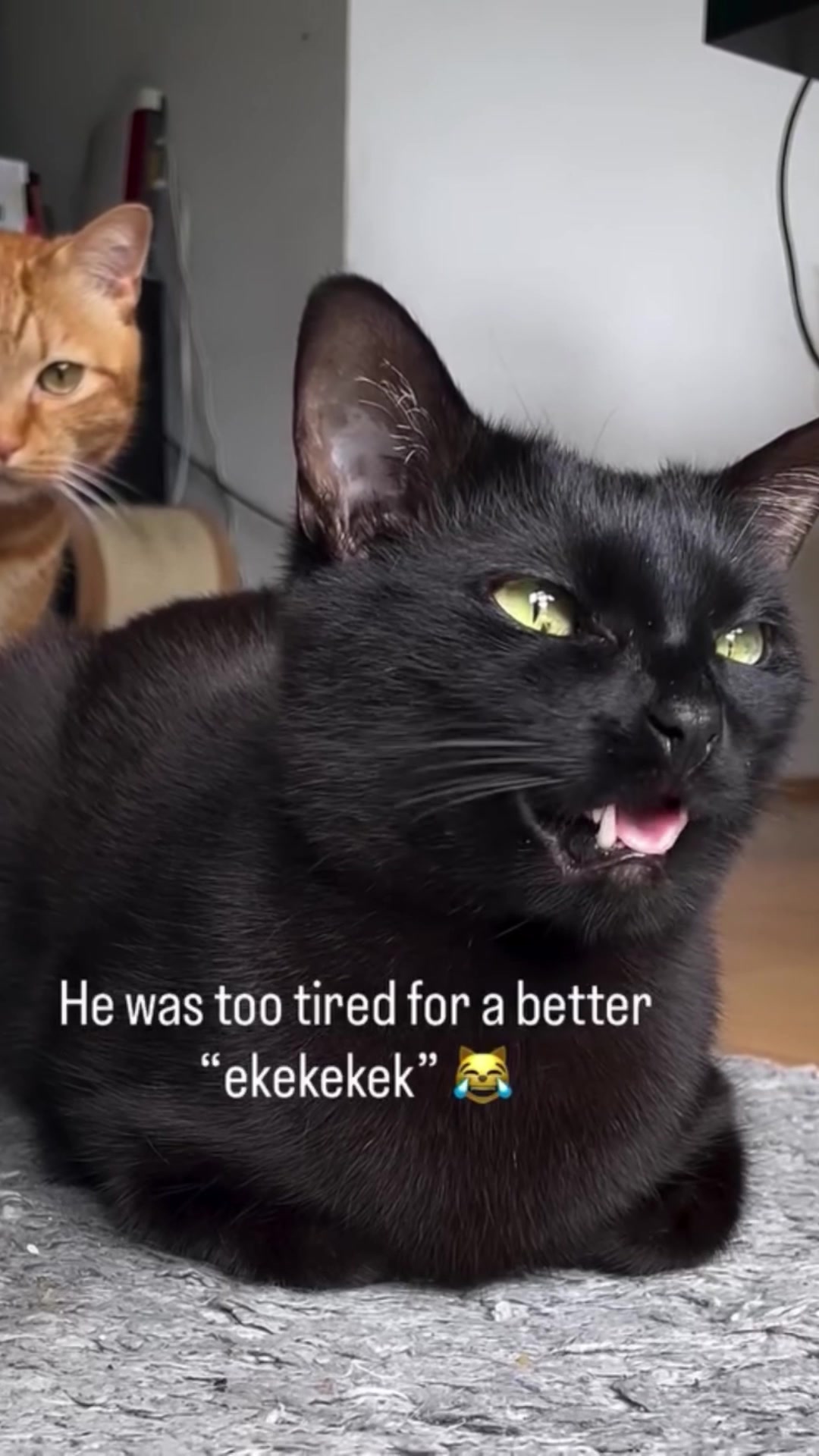@ekekekkekkek