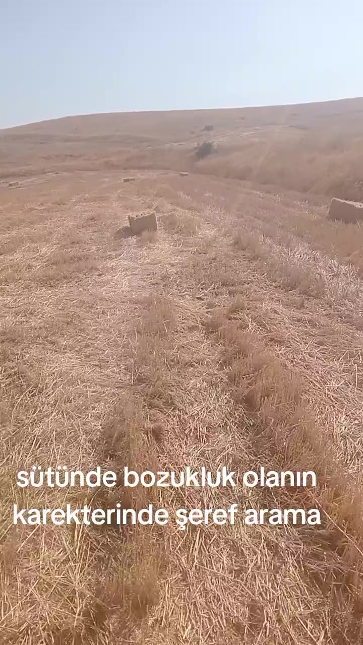 @mahmut AY&Ccedil;İ&Ccedil;EK