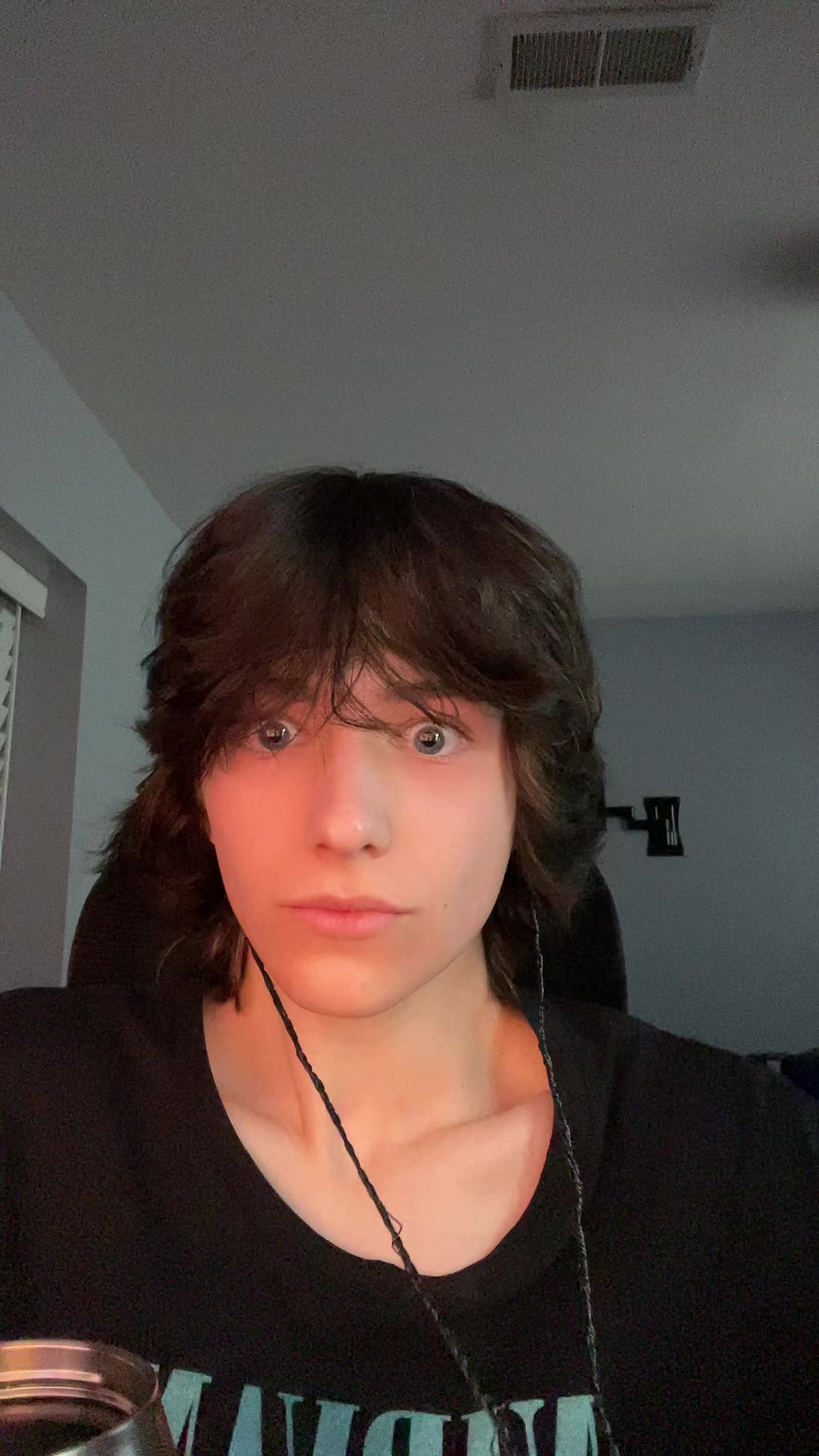 @sillysigmaslayer